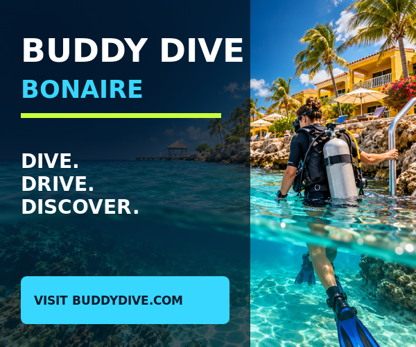Buddy Dive Bonaire — Dive, Drive, Discover